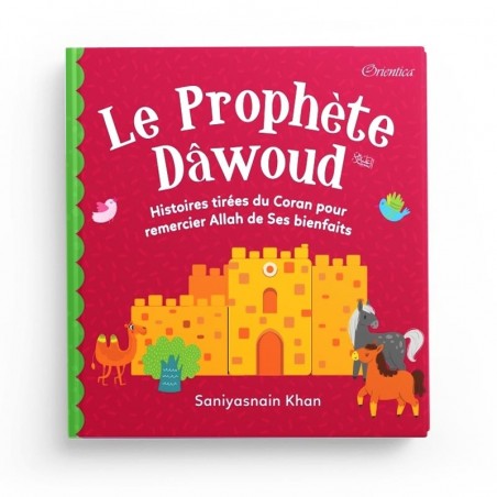 Le Prophète Dâwoud - Histoires tirées du Coran pour remercier Allah de ses bienfaits (Poche)