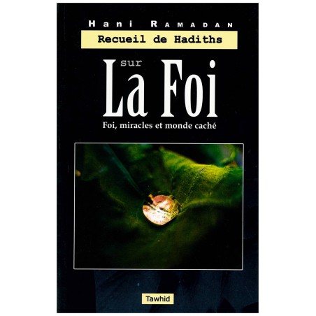 Recueil De Hadiths Sur La Foi