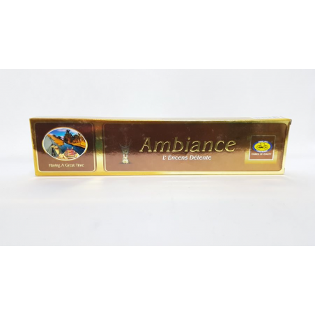 ENCENS AMBIENCE